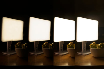 Day-Light Elite showing its four light intensity settings